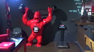 Bull Gym - Best Gym In Canggu