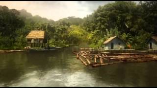 A Turtles Tale 2010 - Panama C Music