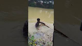 Boy Catching Fish In River With Net So Satisfying