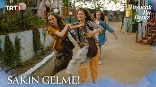 Zarife, Eleniyi Kovuyor - Taşacak Bu Deniz 1. Bölüm Trt1