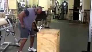 Working on Explosiveness... Heavy Squats and Box J