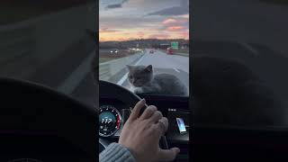 11 Апреля 2025 Г.