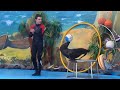 Dolphinarium in Yerevan-Nemo