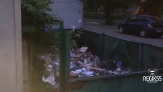 Видео Стаи крыс на ул. Масленникова, Омск от REGIK55 ОМСК, улица Масленникова, Омск, Россия