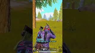 Chicken Dinner With Fast Scope Awm Sir