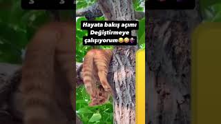 Hayata Bakış Açım