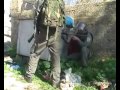 كلاب الصهاينة والاعتداءعلى نساء فلسطين الابيه