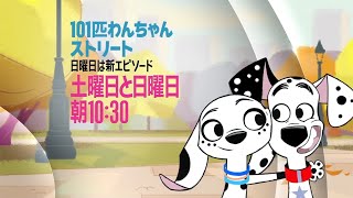101 Dalmatian Street - Promoold - Disney Channel Japan