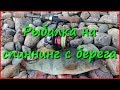 Прогулка со спиннингом по пляжу Волги. Рыбалка на спиннинг в августе. Прогулка со спиннингом по пляжу Волги. Рыбалка на спиннинг в августе.