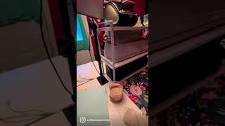 Perfect Shelf for Cricut or Silhouette