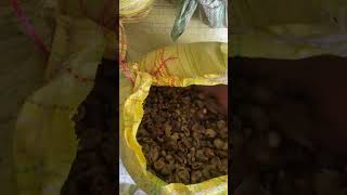Harra Chilka Chebula Harar Chilka Ayurvedic Raw 30 Ton Available 500 Bag Mo-8225093019
