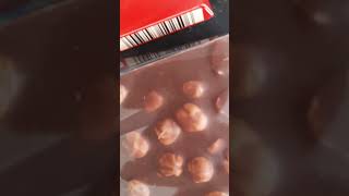 Findikli Çikolata Budur Hazelnut Choklait