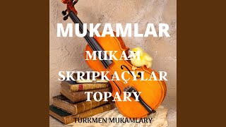 Türkmen Tansy Skripka