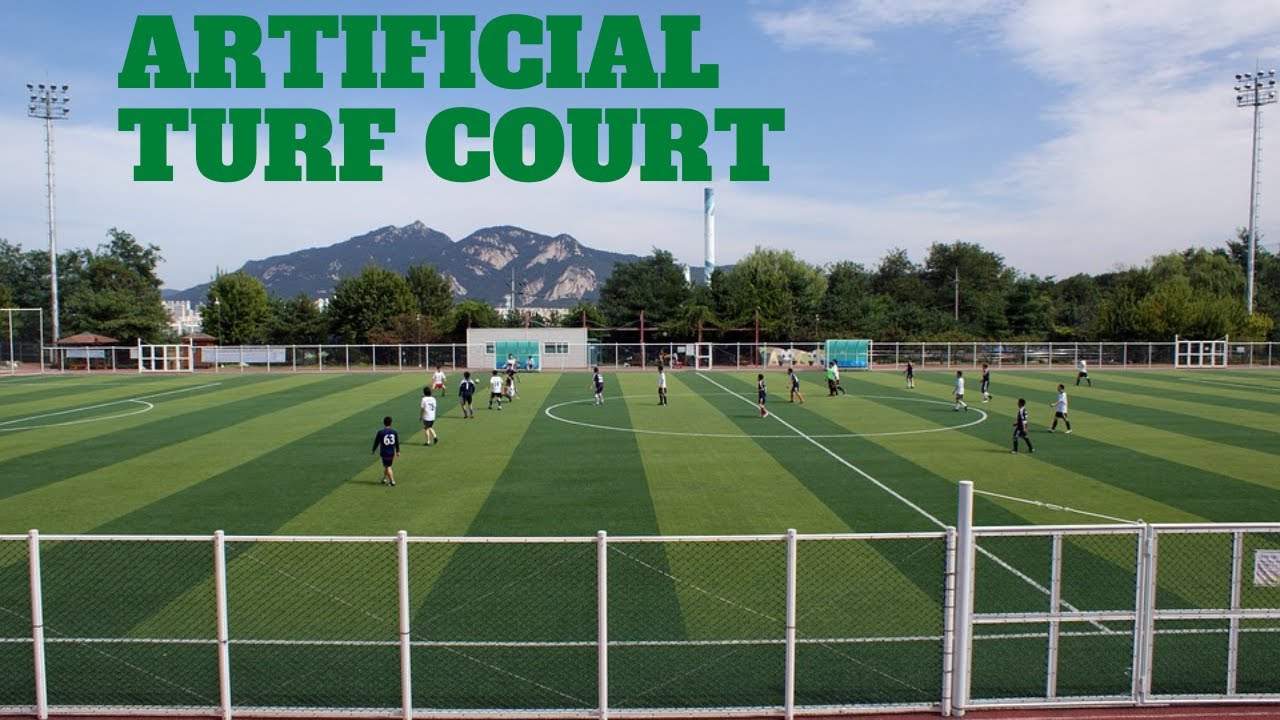 Artificial Turf Court Business Plan | Investment & Expected Income | Business Plans and Ideas