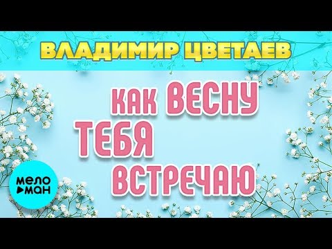 Владимир Цветаев - Как весну тебя встречаю Single