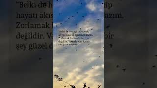 Kısa Ve Videoları Için Aboolmayı Unutmayin