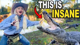 Insane Gator Moves Relocating 3 Vip Alligators