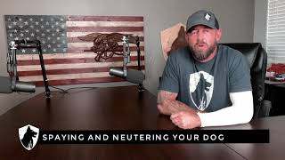 Stop Spaying Or Neutering Your Dog