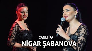 Nigar Shabanova Popuri
