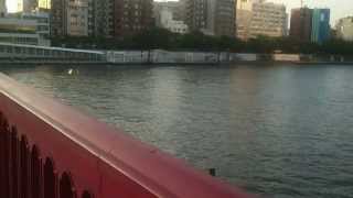 34 Asakusa Shimai 34 Komadori Shimai Gt Hidekickun 34 Asakusa Shimai 34 Komadori Shimai Gt Hidekickun