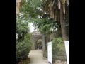 'A CITTA' 'E PULLECENELLA - CANZONE NAPOLETANA
