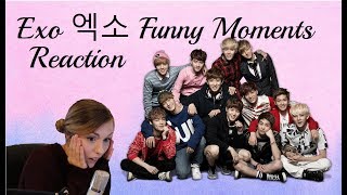 Exo Funny Moments 엑소 Reaction Exo Funny Moments 엑소 Reaction