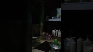 Bokep Anak Abg