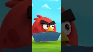 Can Angry Birds Even Build?