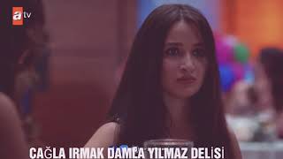 Aşk Lazim Çilgin Çi̇çekler