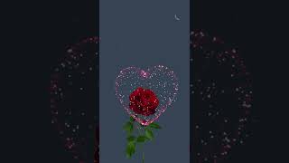 Love Heart Gif Animation