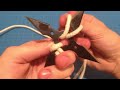 ninja stars