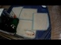 4 Week Old Border Collie Puppy Already Using Puppy Pad