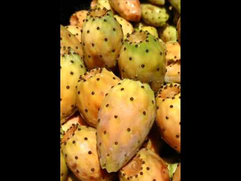 tchimbou benisaf