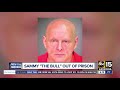 Reports Former Mob Boss Salvatore Sammy The Bull Gravano Released Reports Former Mob Boss Salvatore Sammy The Bull Gravano Released