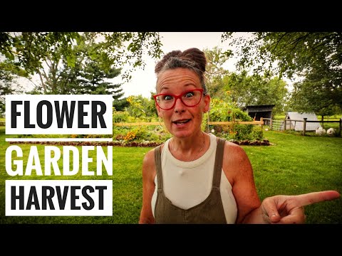 Summer Flower Garden Show and Herb Harvest