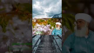Şeriat Kelimesi Timurtaş Hoca