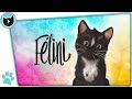 Felini Cat