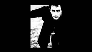 Watch Peter Murphy The Answer Is Clear video