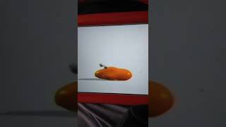 Nicktoons Blob Logo