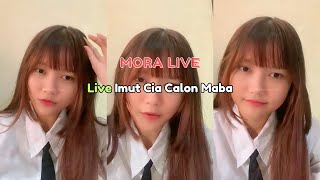 Live Imut Cia Calon Maba