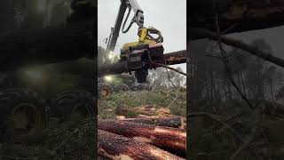 How The 1270G Harvester Works And Cuts #Harvester #Harvest #Montains #Tree #Wood #Johndeere #Viral