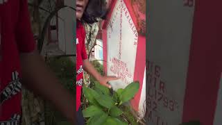 Kubur Tua Desa Wangurer Likupang