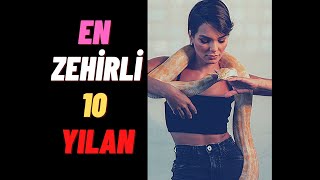 Dünyanın En Zehirli Ve Tehlikeli 10 Yılan Türü