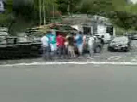 www.scoobymadeira.pt.vu 0109