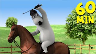 Bernard Bear Dressage - New Episode 133 - Super Toons Tv Cartoons