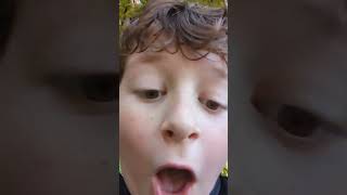 Orangutan Asmr