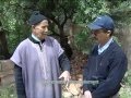 Tafraout 2012 Jbel Lkast.flv