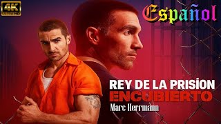 Rey De La Prision Encubierto Película Completa En Español Completa Revisión Español Latino