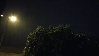 Sokak Lambası Işığında İncir Yapraklarını Çiseleyen Yağmur Sesi Street Lamp Sound Of Drizzling Rain