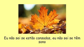 A folhinha do outono